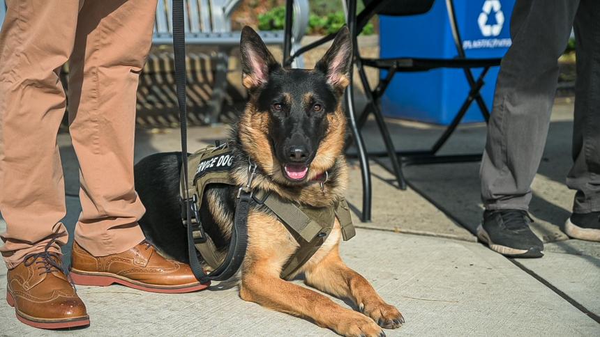 StudentVeteran Receives K9 Service Dog Kean University